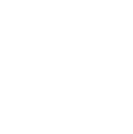 logo light