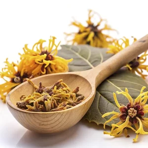 Organic and food grade Witch hazel hydrolate - Image 4