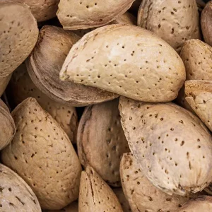 Organic Sweet Almond Oil - Image 5